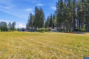 36765 Glaser Dr, Scio, OR 97374 - Photo 47