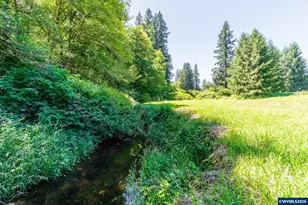 100 Burnt Woods Trail, Blodgett, OR 97326 - Photo 41