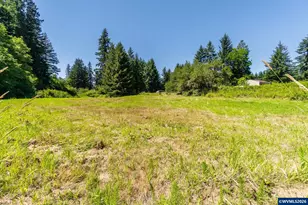 100 Burnt Woods Trail, Blodgett, OR 97326 - Photo 39