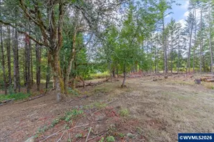 11 N Main St, Falls City, OR 97344 - Photo 9