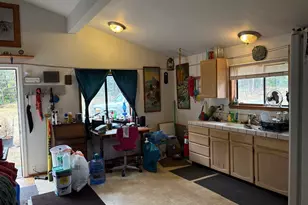 11 N Main St, Falls City, OR 97344 - Photo 3