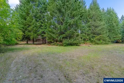 11 N Main St, Falls City, OR 97344 - Photo 11