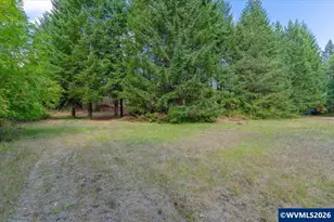 11 N Main St, Falls City, OR 97344 - Photo 11