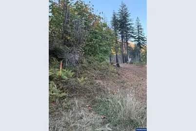37989 N Santiam Hwy, Gates, OR 97346 - Photo 9
