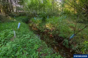 36435 Devitt Rd, Blodgett, OR 97326 - Photo 43