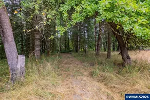 36435 Devitt Rd, Blodgett, OR 97326 - Photo 45