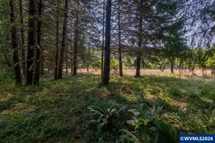 36435 Devitt Rd, Blodgett, OR 97326 - Photo 47