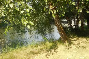 341 Locust St, Lyons, OR 97360 - Photo 13