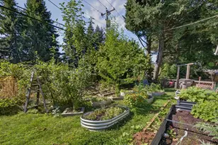 3110 Main St, Sweet Home, OR 97386 - Photo 33