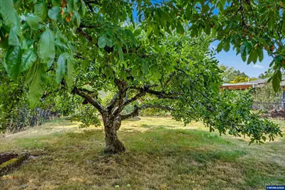 970 NW Cypress Av, Corvallis, OR 97330 - Photo 35