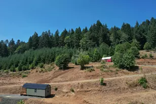 (Next To) 24111 Gellatly Way, Philomath, OR 97370 - Photo 29