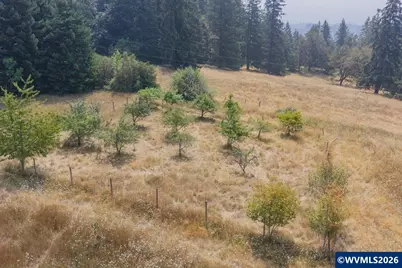 26221 Old Holley Rd, Sweet Home, OR 97386 - Photo 43