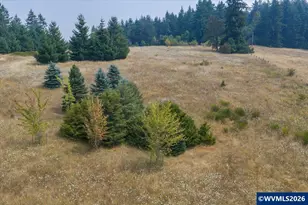 26221 Old Holley Rd, Sweet Home, OR 97386 - Photo 45