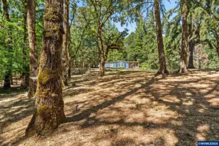 25264 Kyle Rd, Monroe, OR 97456 - Photo 41