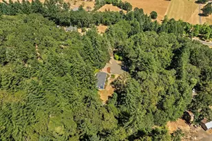 25264 Kyle Rd, Monroe, OR 97456 - Photo 47