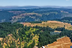 2254 Crooked Finger Rd NE, Scotts Mills, OR 97375 - Photo 1