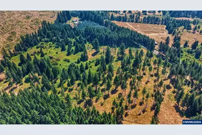 2254 Crooked Finger Rd NE, Scotts Mills, OR 97375 - Photo 21