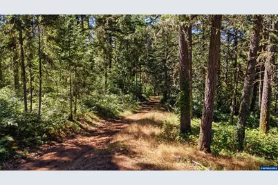 1111 Pioneer Rd, Dallas, OR 97338 - Photo 45