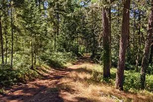 1111 Pioneer Rd, Dallas, OR 97338 - Photo 45