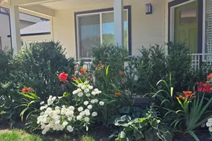 1626 1st Av E, Albany, OR 97321 - Photo 3