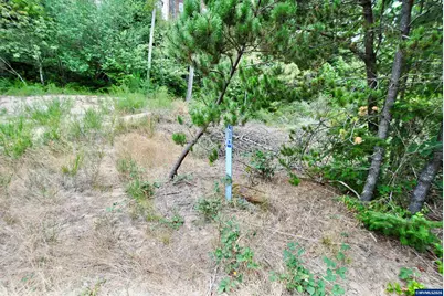 2622 Breezee Wy, Oceanside, OR 97134 - Photo 3