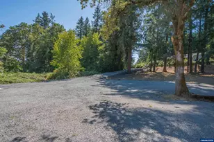40972 Hwy 228, Sweet Home, OR 97386 - Photo 3