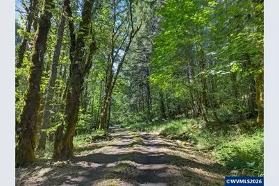 24898 Pleasant View Dr + Tax Lot 130629, Philomath, OR 97370 - Photo 5