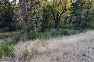 3788 NW Goldfinch Dr, Corvallis, OR 97330 - Photo 1
