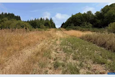Tract D Finch (Ta 418256) Ln, Philomath, OR 97370 - Photo 15