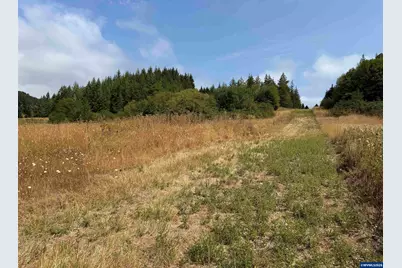 Tract D Finch (Ta 418256) Ln, Philomath, OR 97370 - Photo 13