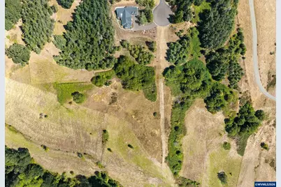 Tract D Finch (Ta 418256) Ln, Philomath, OR 97370 - Photo 3