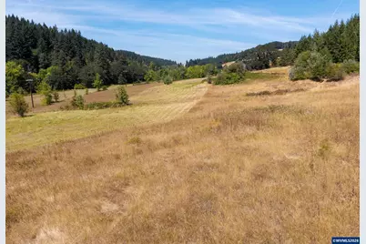Tract D Finch (Ta 418256) Ln, Philomath, OR 97370 - Photo 11