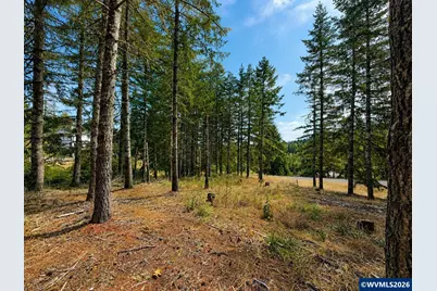 Tract F Finch (Ta 418243) Ln, Philomath, OR 97370 - Photo 1
