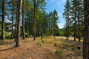 Tract F Finch (Ta 418243) Ln, Philomath, OR 97370 - Photo 1