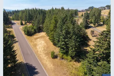 Tract F Finch (Ta 418243) Ln, Philomath, OR 97370 - Photo 7