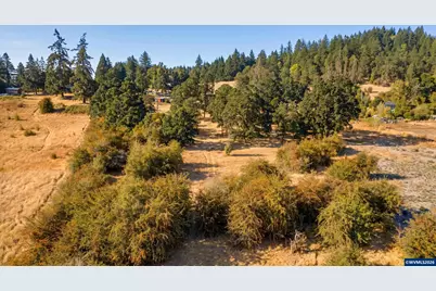 39156 Myers Pl, Scio, OR 97374 - Photo 11