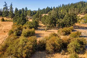 39156 Myers Pl, Scio, OR 97374 - Photo 11