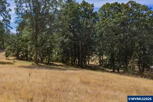 27927 Pine View Rd, Brownsville, OR 97327 - Photo 43