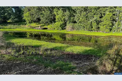6110 SE Yampo Rd, Amity, OR 97101 - Photo 33