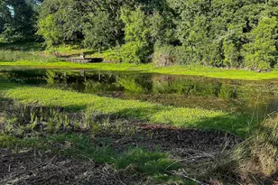6110 SE Yampo Rd Rd, Amity, OR 97101 - Photo 33