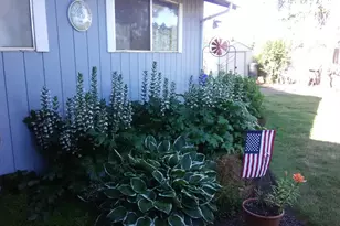440 W College St, Mount Angel, OR 97362 - Photo 25