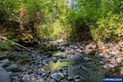 8810 Hebo (-8840) Rd, Grand Ronde, OR 97347 - Photo 3