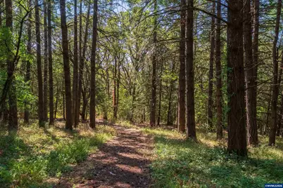 6685 SW West Hills Rd, Corvallis, OR 97333 - Photo 15
