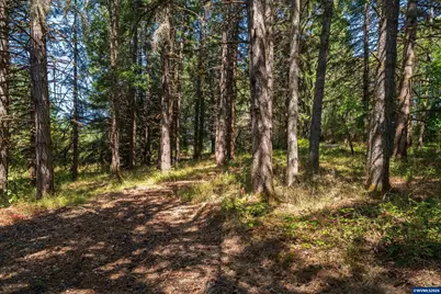 6685 SW West Hills Rd, Corvallis, OR 97333 - Photo 13