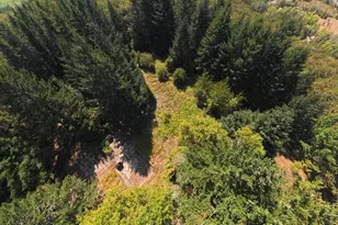 6685 SW West Hills Rd, Corvallis, OR 97333 - Photo 1