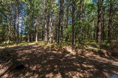 6685 SW West Hills Rd, Corvallis, OR 97333 - Photo 5