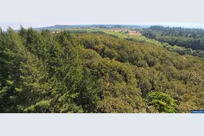 6685 SW West Hills Rd, Corvallis, OR 97333 - Photo 29