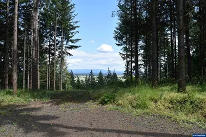 Lot 103 Scravel Hill Rd NE, Albany, OR 97322 - Photo 9