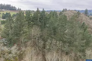 2468 Morrow Ct NW, Salem, OR 97304 - Photo 15