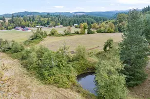 42174 Fish Hatchery Dr, Scio, OR 97374 - Photo 41
